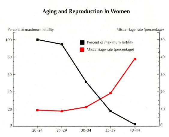 Aging-Reproduction